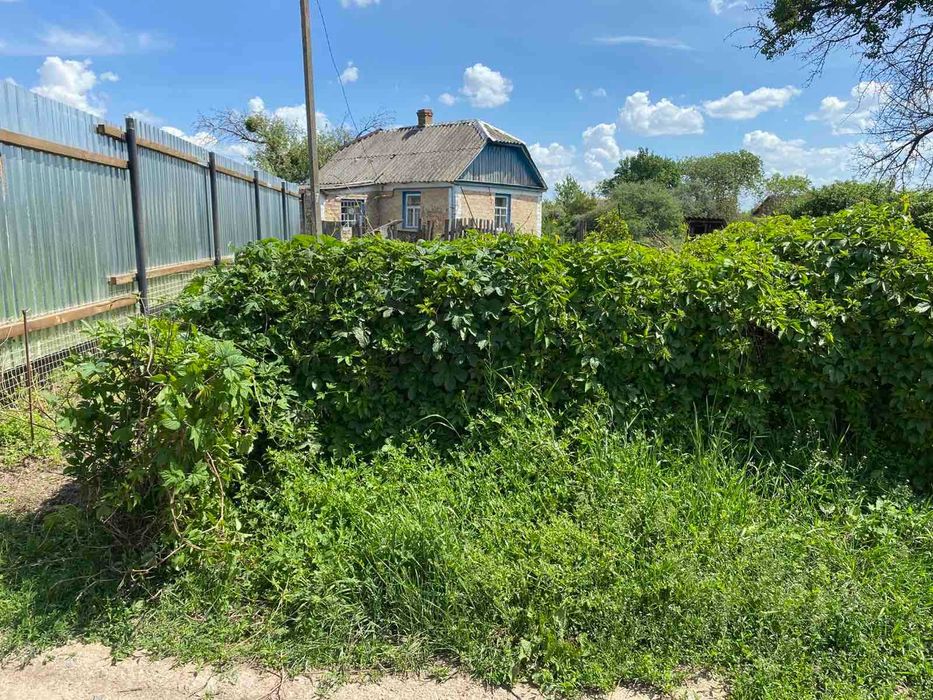 Продам  будинок в Рибцях ( Полтава).