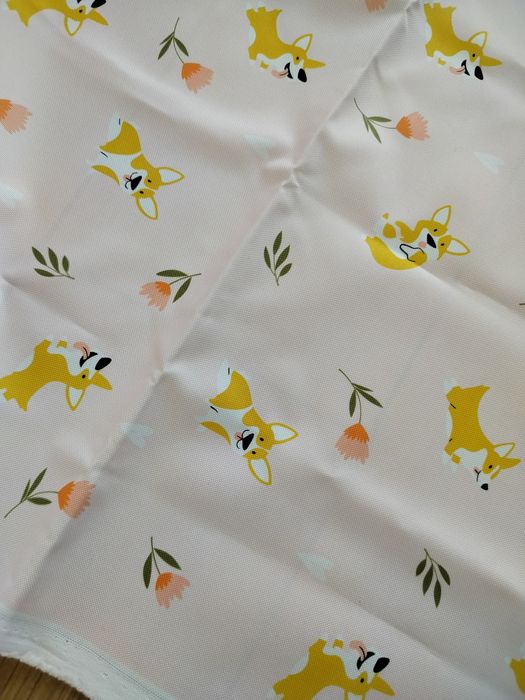 Obrus piknikowy w pieski