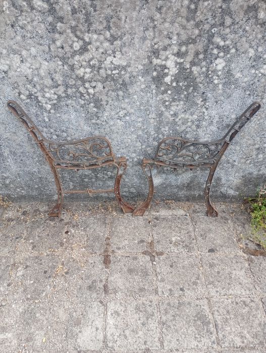 Vendo pés de brancos muito bonitos bom estado