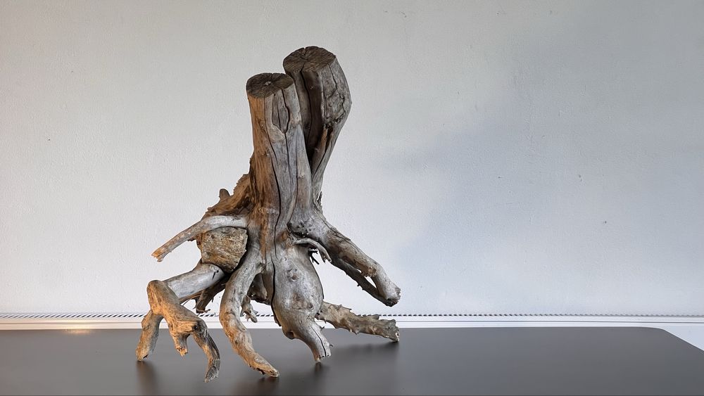 Korzeń do terarium, akwarium