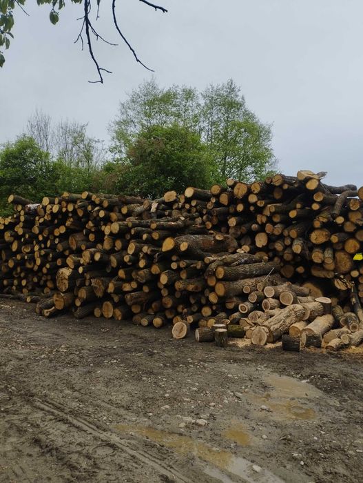 Drewno opałowe kominkowe dąb   brzoza  mi sosna