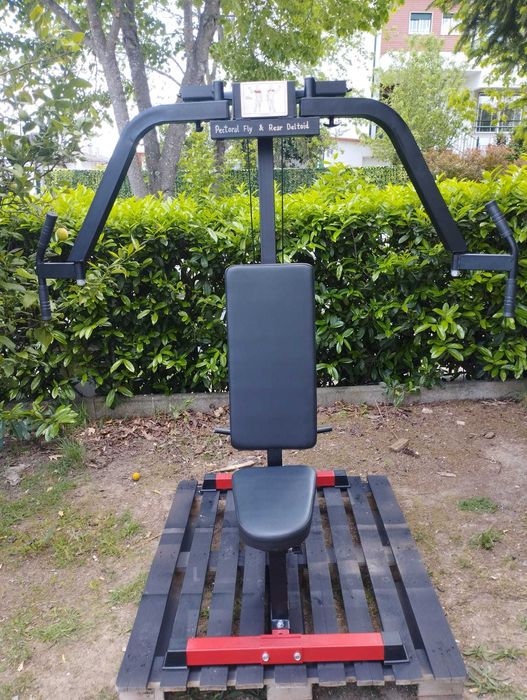 máquina pec fly e rear deltoid