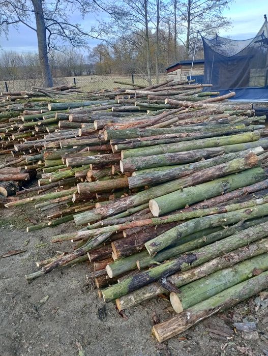 Drewno opałowe tanio