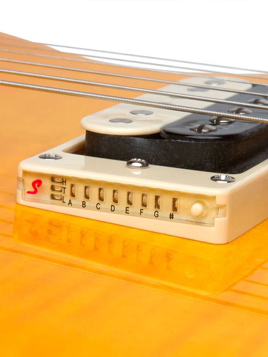 Електрогітара Epiphone Slash Signature Les Paul