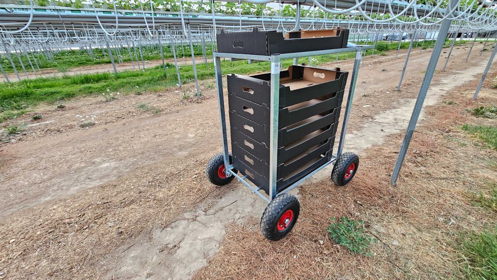 Wózek transportowy OCYNK tunel wózeczki do zbioru truskawki malin owoc