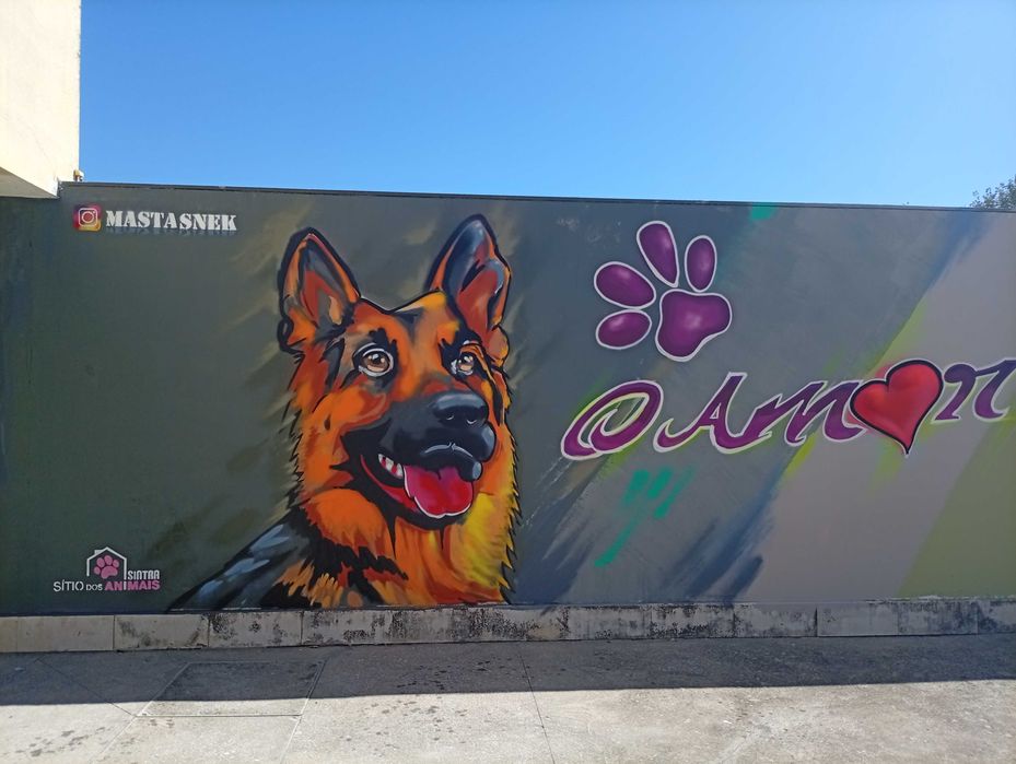 Pintura paredes Interiores exteriores