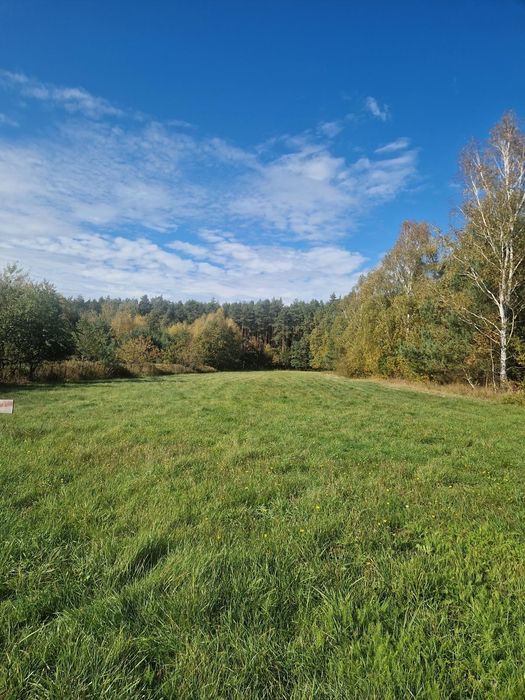 Twój własny dom z „drzwiami do lasu” – działka 45 arów z bezterminowymi WZ - Widok 2