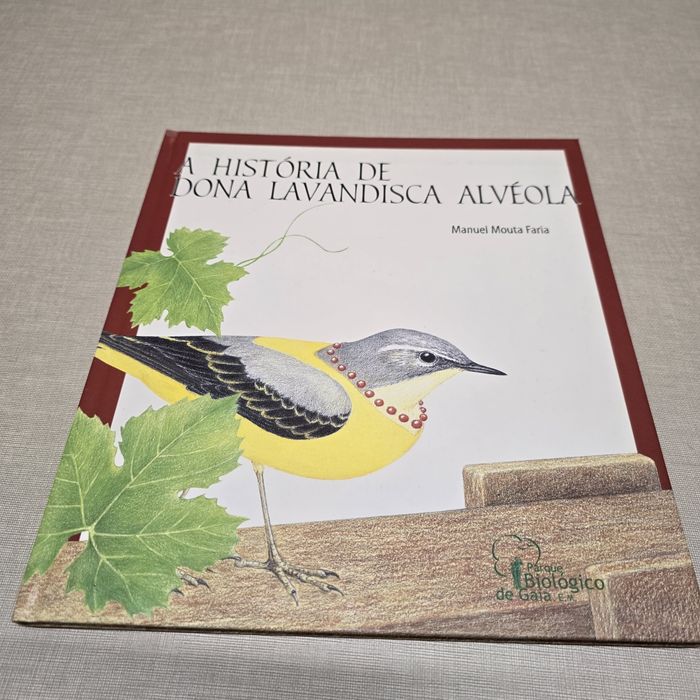 Livro  A História  de Dona Lavandisca Alvéola
