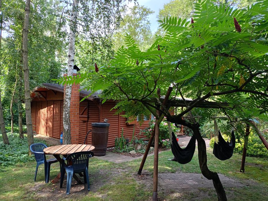 Domek nad jeziorem. Kajak, łódka. Ślesin, Licheń.