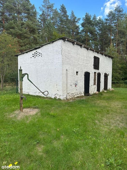 Zdjęcie 6
