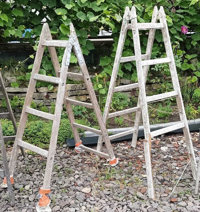 stara, drewniana drabina malarska około 150 cm wysokości; raczej do dekoracji