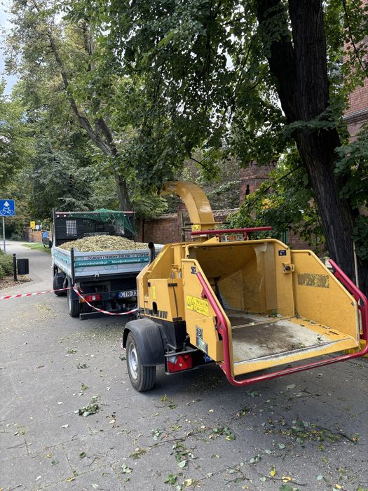 Prace wysokościowe /Wycinka i pielęgnacja drzew