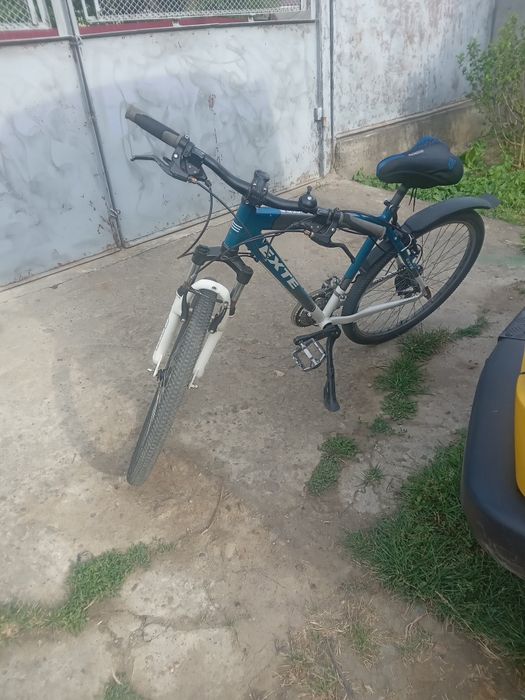 Нісого незломано бушний велік