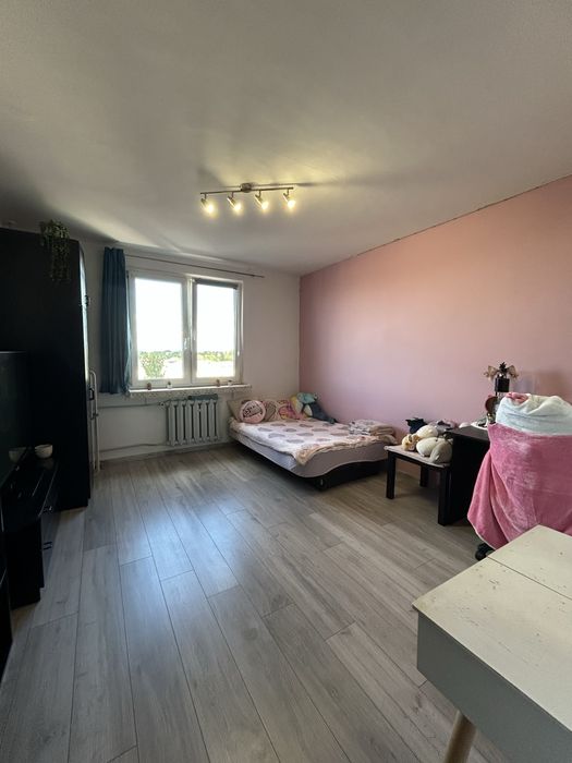 Kawalerka 25 m² | Campus B | ZWIERZĘTA | Osadnicza 1
