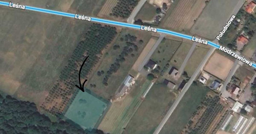 Działka Janówek koło Tarczyna dzierżawa wynajem