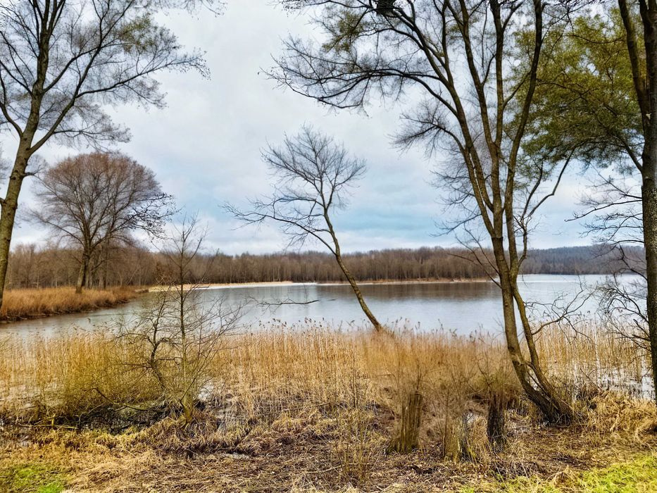 5.82 ha, WZ, 12 działek budowlanych, 450m linii brzegowej, Małszewko