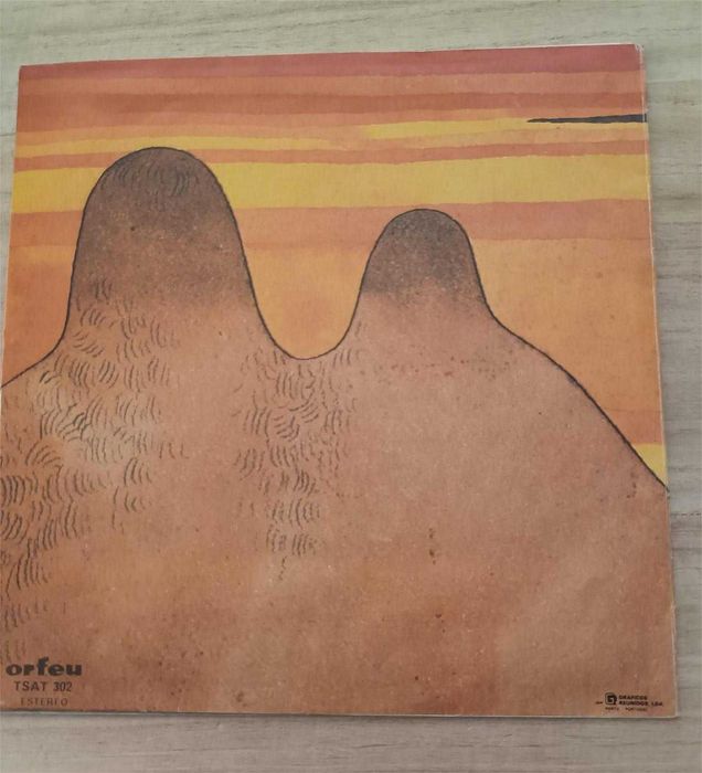 Discos de vinil da artista Suzy Paula