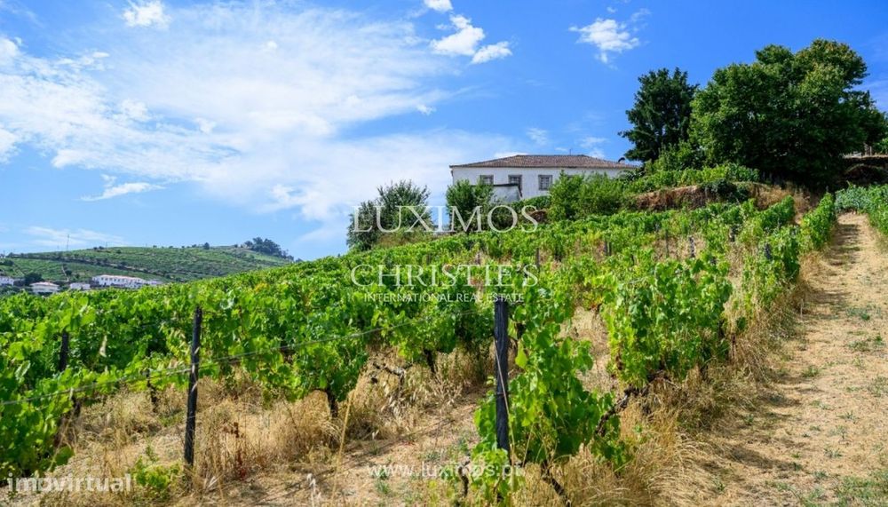 Quinta do Eidinho à venda no Douro Valley em Santa Marta de Penaguiã