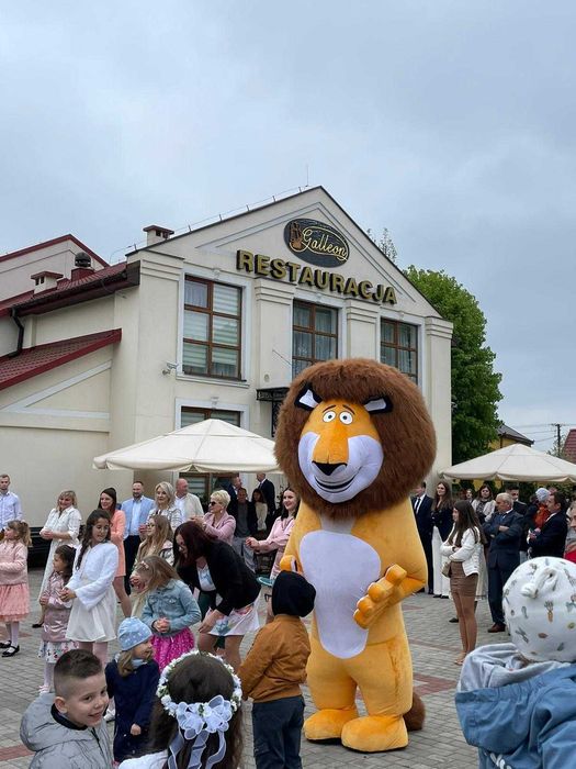 Atrakcja na wesele, urodziny,  osiemnastka tańczące misie XXL, prezent