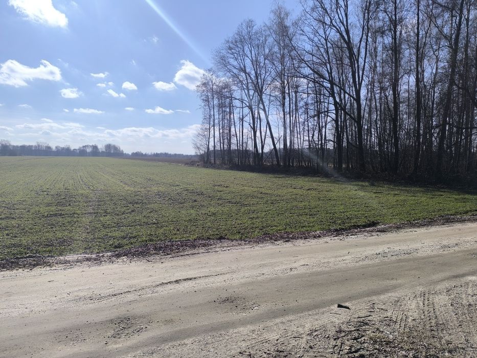 Działka budowlana 3800 m kw. Malanów gm. Lutomiersk