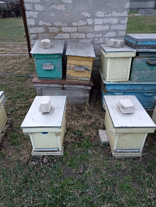 Вулики б/у продам