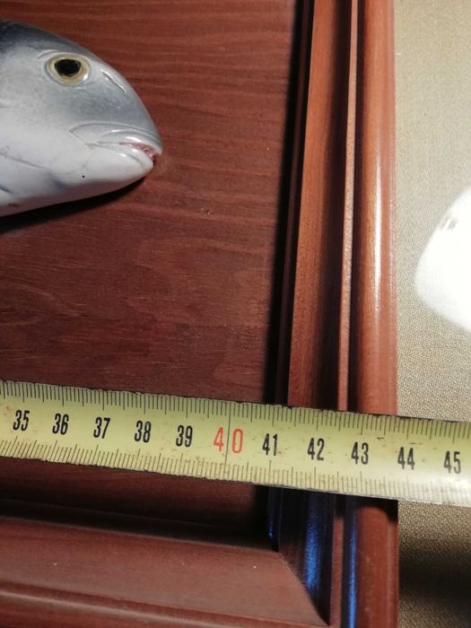 Sargo - Porcelana aerogravada sobre madeira - bellissima execução