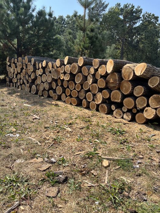 Дрова колоті,чурки порізані та метровки