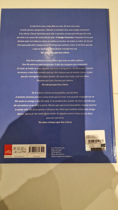 Livro "A amiga cinzenta "