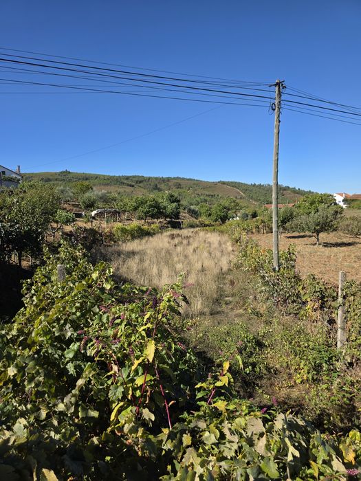 Terreno rústico Estreito vilar-barroco