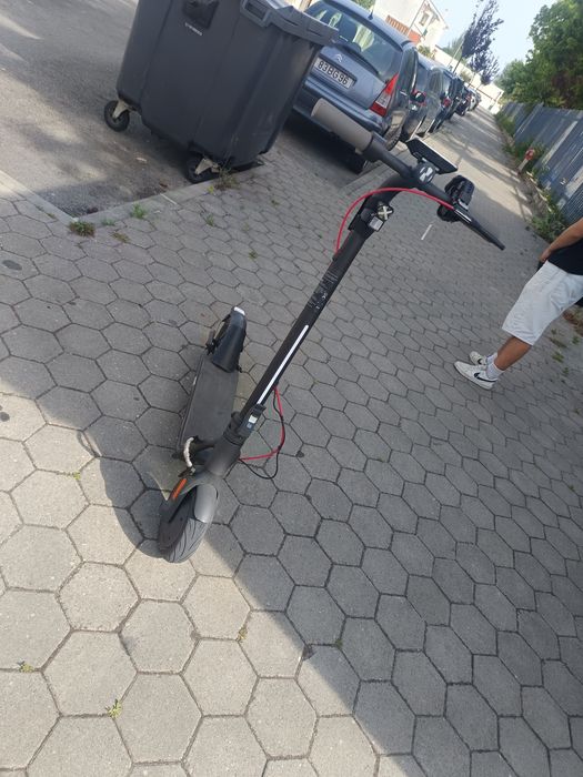 Trotinete navve v25