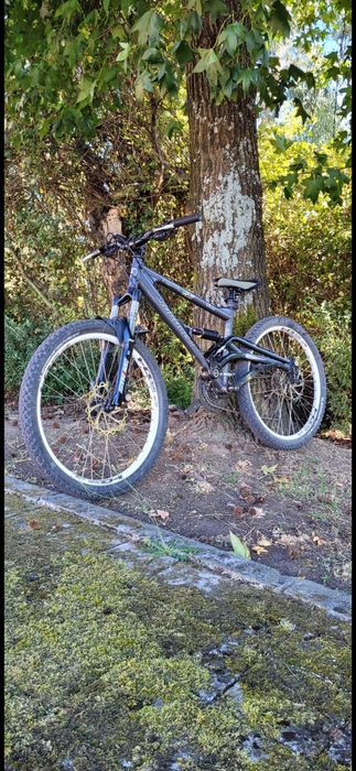 Vendo Saracen raw 2