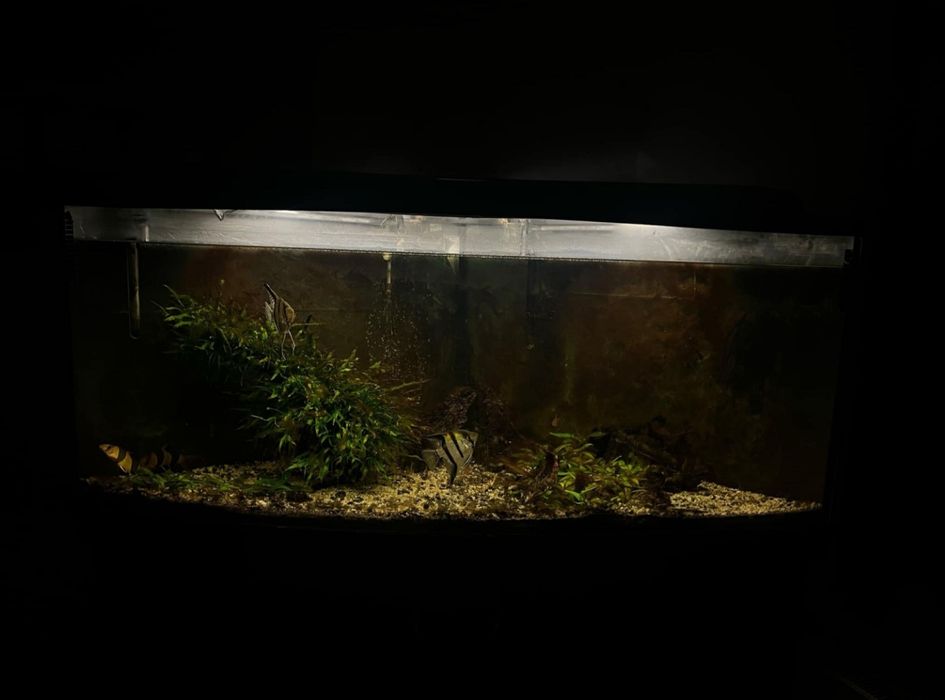 Akwarium narożne 360 l zestaw