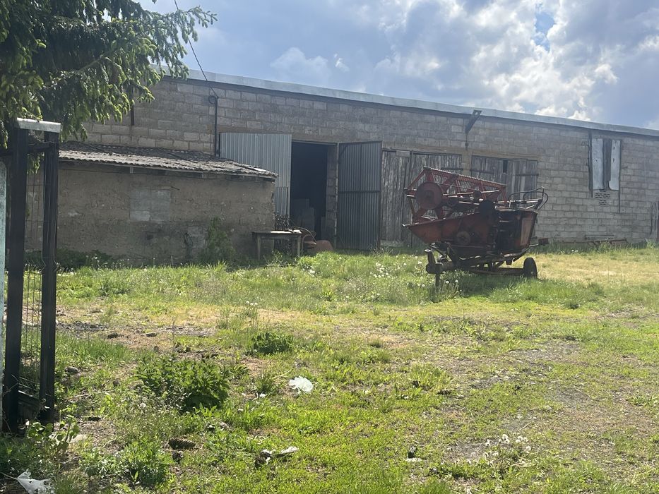 Wynajmę Budynki gospodarcze Grodkowo Włóki