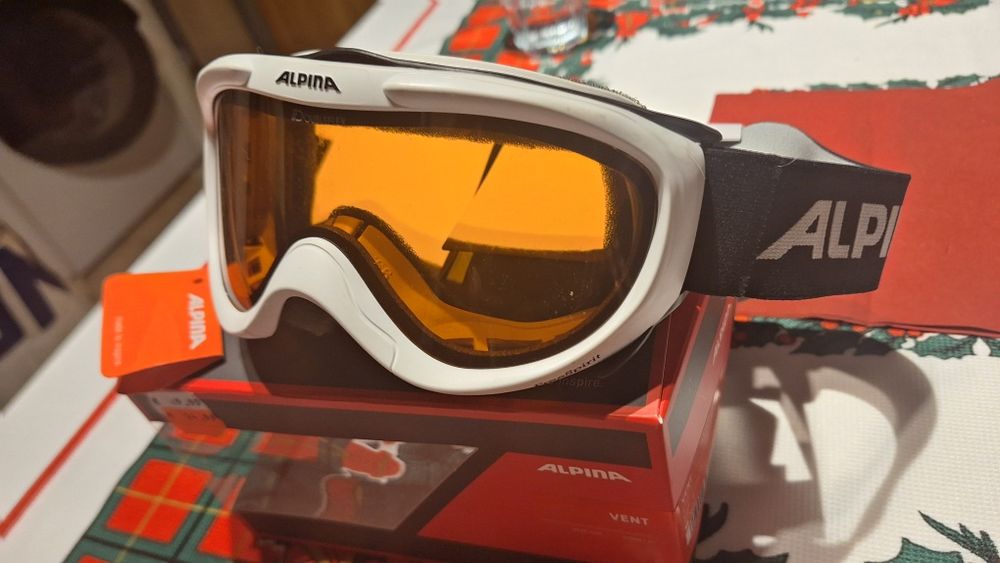 Alpina gogle stan idealny