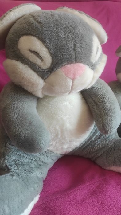 Peluches Coelho Conjunto