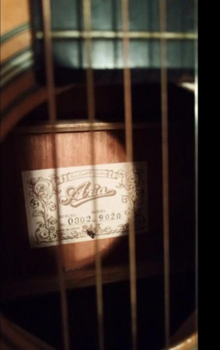 Gitara Aria 9020 drednot