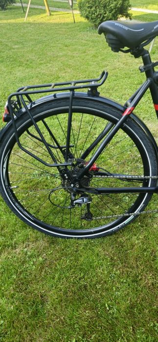 Rower Pegasus Solero