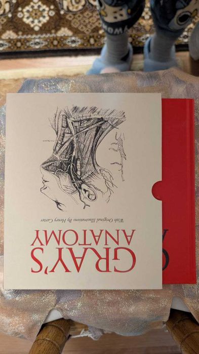 Книга Grays Anatomy