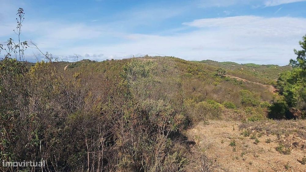 Terreno  para venda