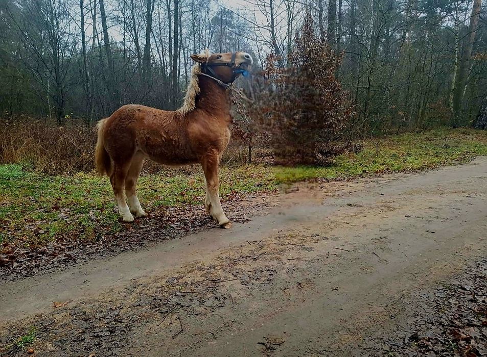 Źrobka 10 miesieczna