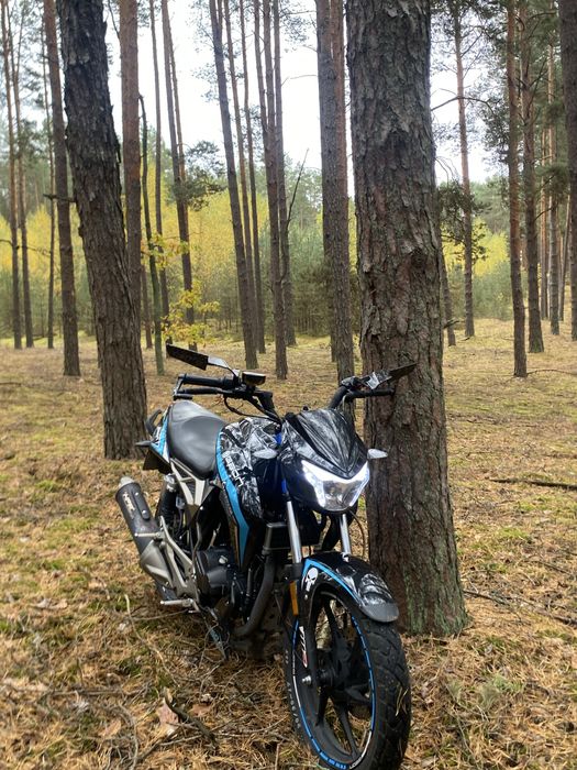 geon pantera 250