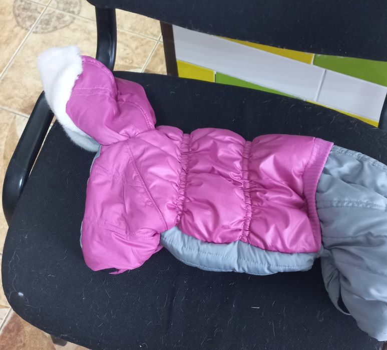 Одяг для вашої улюблениці