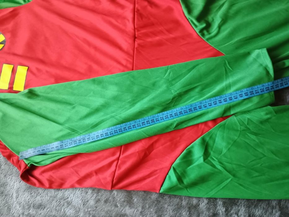 Kostium dla dorosłych Robin pomocnik Batmana