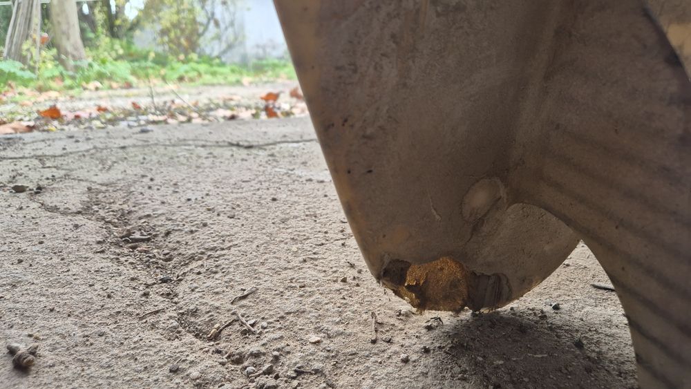 Prancha Surf Semente