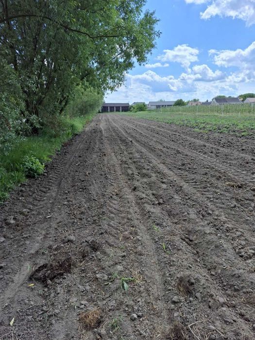 Siedlisko na działce 6900m2
