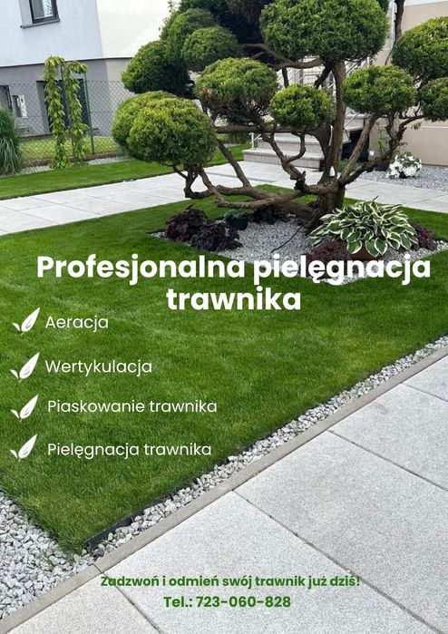 Wertykulacja, aeracja, piaskowanie, dosiewka, nawożenie.