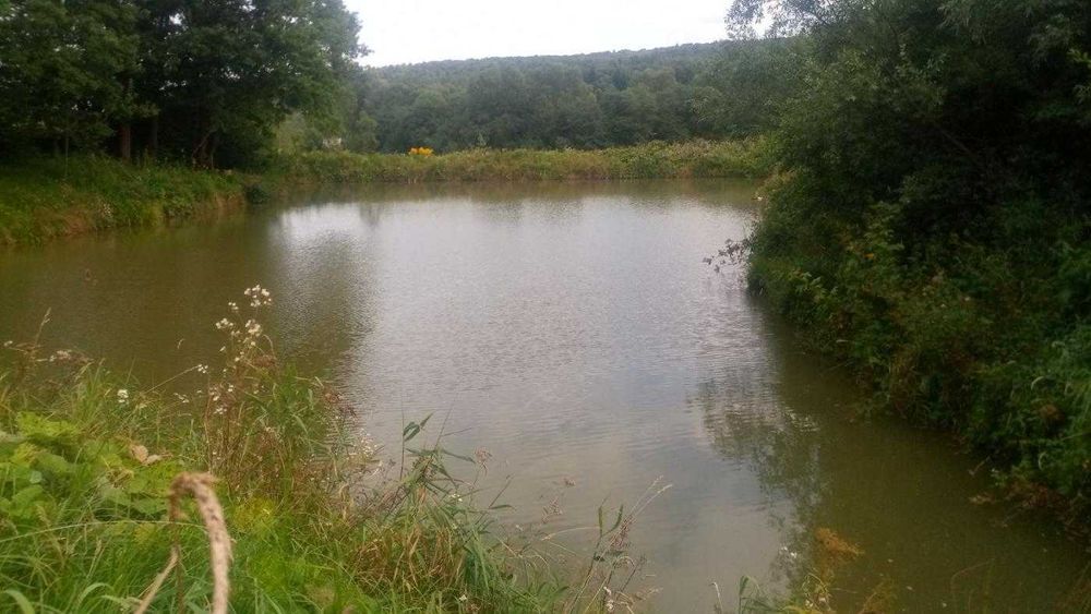 Будинок 74 соток/ с.Княждвір/ Коломийський район