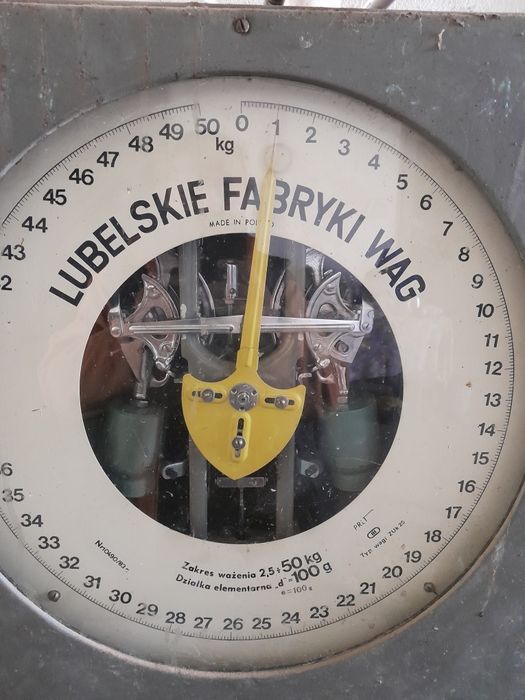 Ekologicznyj  czosnek