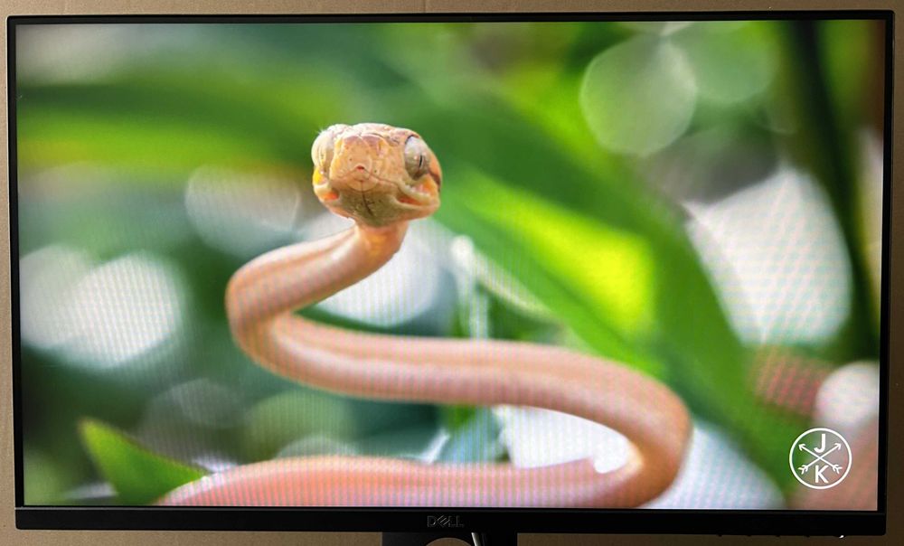 Monitor Dell 24" model: P2419H, FHD, 1920x1080 LED IPS, PIVOT