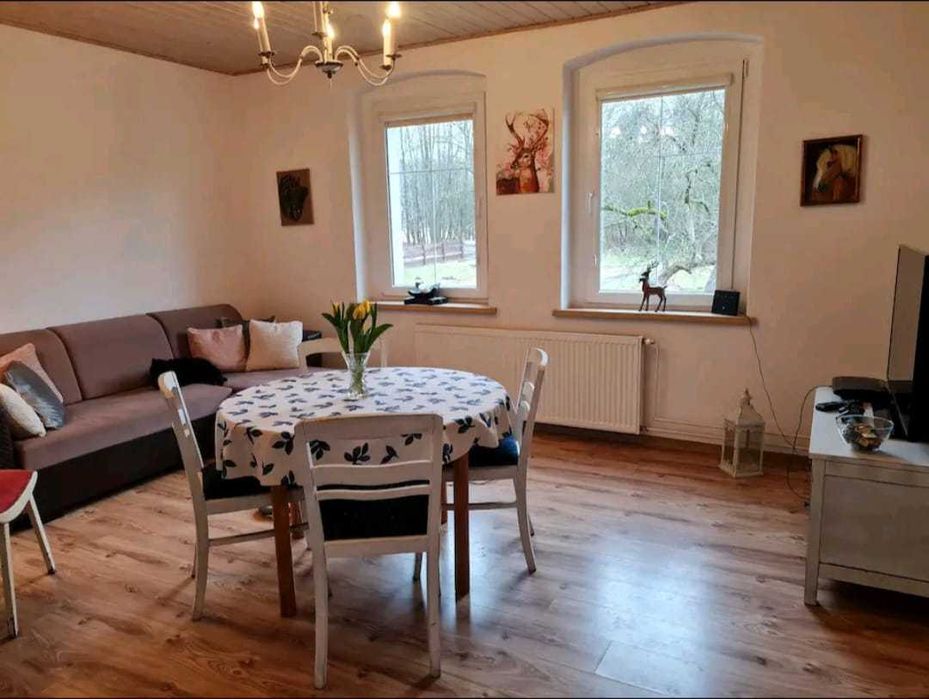 Święta w lesie, 2h od Szczecina. Jelenino Domek nad jeziorem